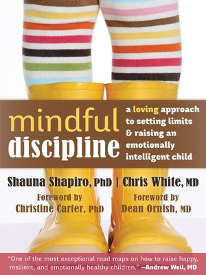 cover image of Mindful Discipline